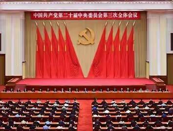 全面掀起学习贯彻党的二十届三中全会精神热潮