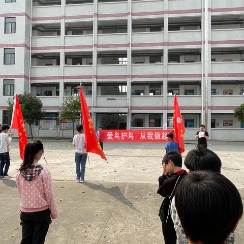 “爱鸟始于心  护鸟始于行”  ——蓝山县总市学校爱鸟护鸟宣传活动