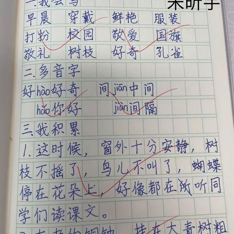 《大青树下的小学》书写优秀展播