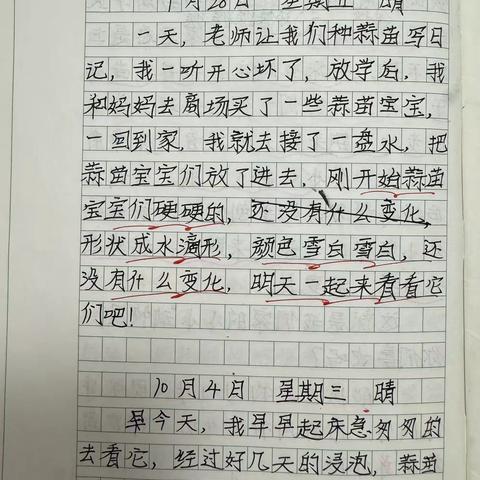 习作三 《我的观察日记》