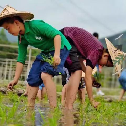 两天一夜快乐成长营