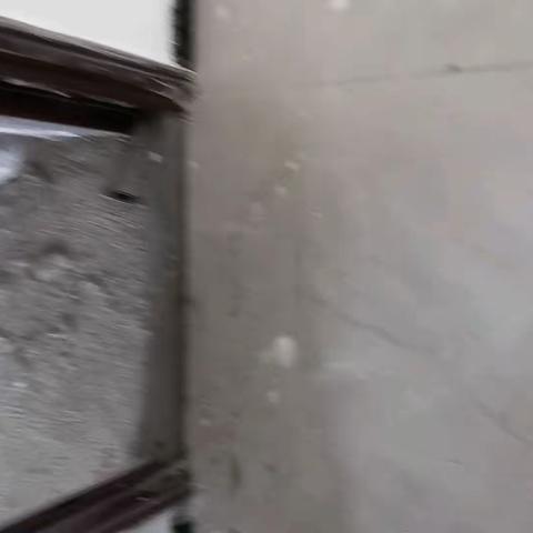 有段时间没来小区了，今天还是到小区来了，接下来给大家更新进度，今天主要以视频为主