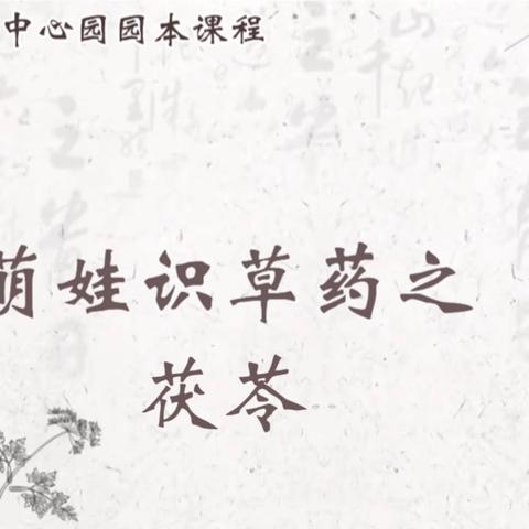 萌娃“识”草药之茯苓