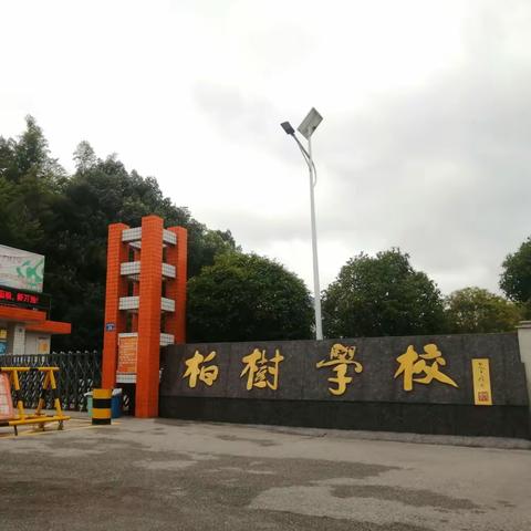 推广普通话，奋进新征程——镇头镇柏树完小推普活动总结