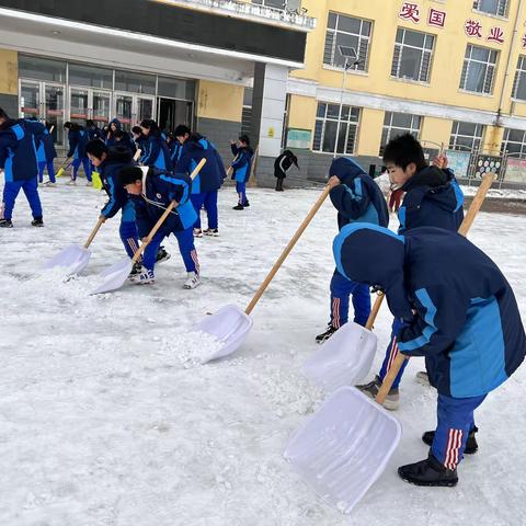 【胜丰•劳动】勤劳的学生