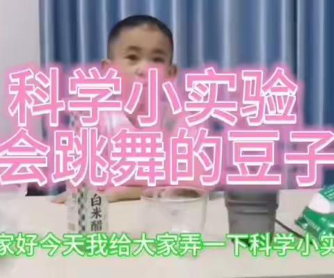 科学小实验 奥秘趣无限——三（11）班科学小实验