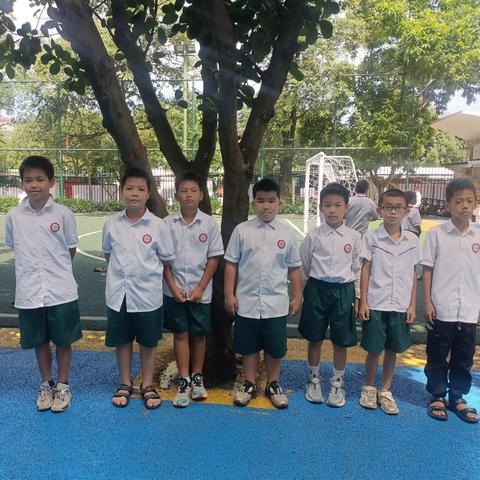 晨曦中队幸福成长单 ——第四周