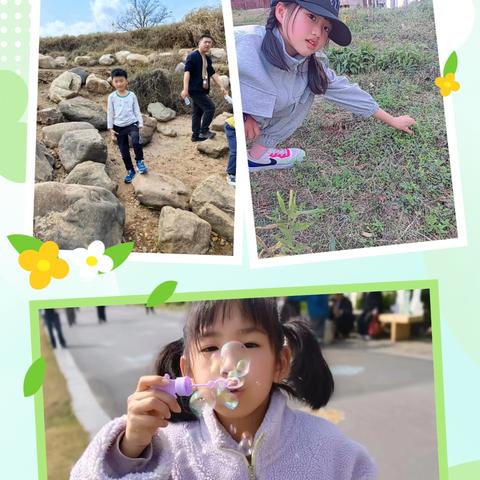 🌈 凿石小学2303班 春日拾趣🌸奔赴绿野