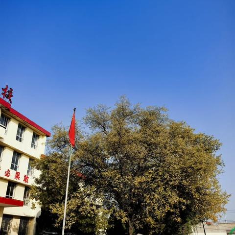 南社小学2026年元旦放假通知及温馨提醒