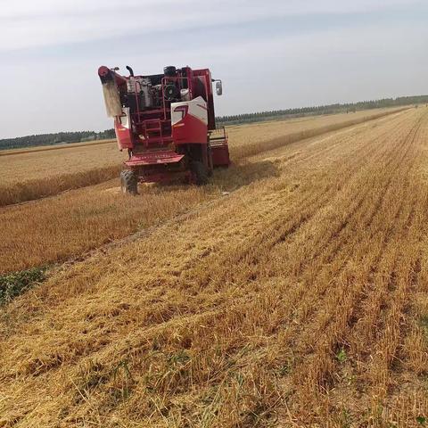 北宋镇三岔村网格员牟海霞的简篇