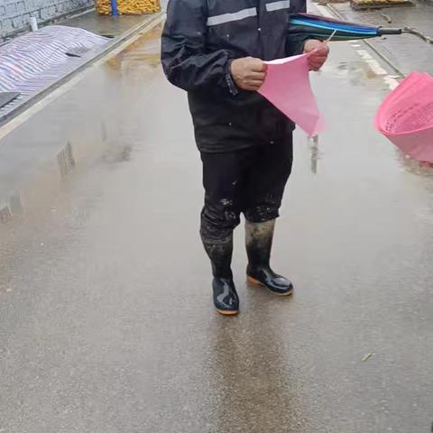 宣传雨后技术指导