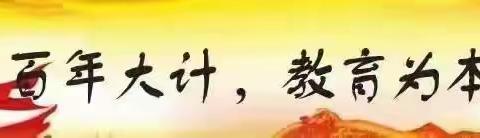 芳华初绽映新天，杏林新叶乘风起——桑植县2024年新入职教师岗前培训圆满结束