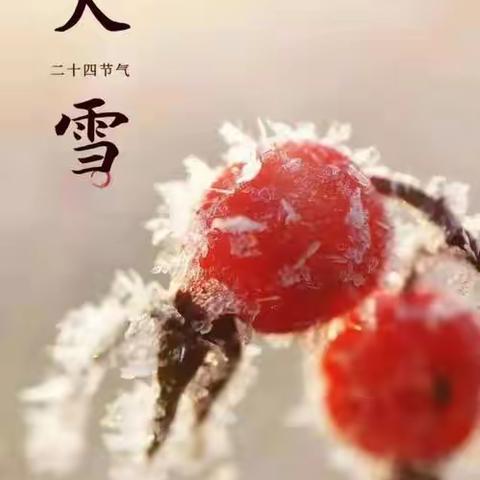 大雪以致，冬来无恙