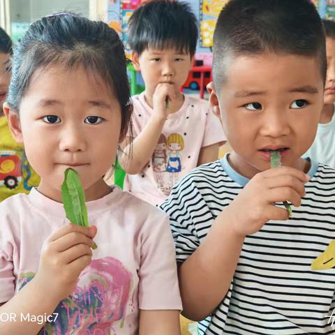 【和润教育❤——节气课程】“小满小满，幸福满满”——兴隆街道和兴幼儿园二十四节气之小满