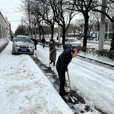 区政协机关组织“除雪除冰”志愿活动