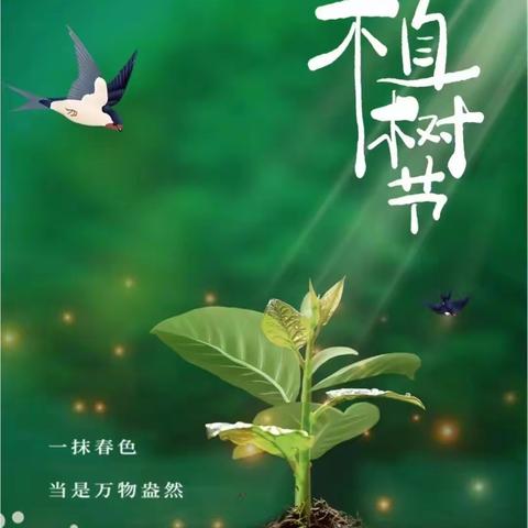 3.12植树节~郸城县实验小学开展爱绿护绿实践活动