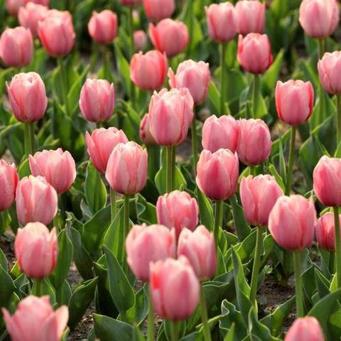 用户13927832的简篇