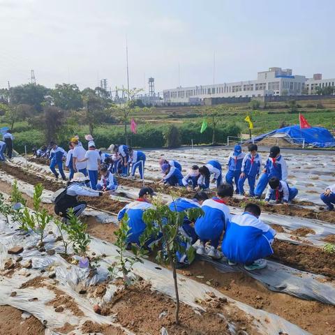 “研学促成长，笑靥踏春行”湛江市赤坎区金沙湾学校四年级春游活动