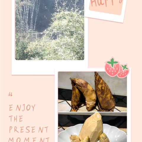 年夜里的留香：东笋烧鸡