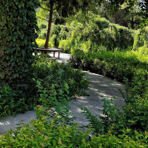 初秋的机电校园