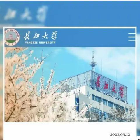 “接近危机干预，心理健康生辉” 记宜城市2023年中小学心理健康教育培训之危机个案讨论与督导