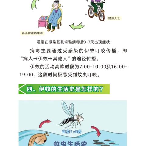 “别让蚊子威胁你我生命安全”——临高县和舍中心幼儿园预防基孔肯雅热和登革热工作纪实