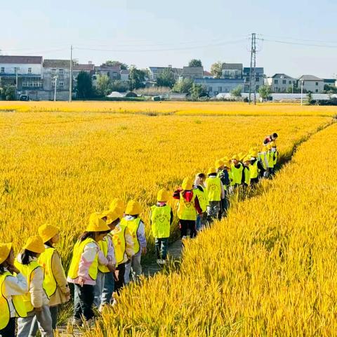 秋日来信 一起“趣”秋游﻿ ——南京市江宁区铜井幼儿园 ﻿中大班幼儿户外实践活动