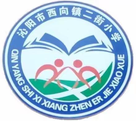 凝心聚力促成长，听课评课学为先——西向镇二街小学开展新教师听评课活动