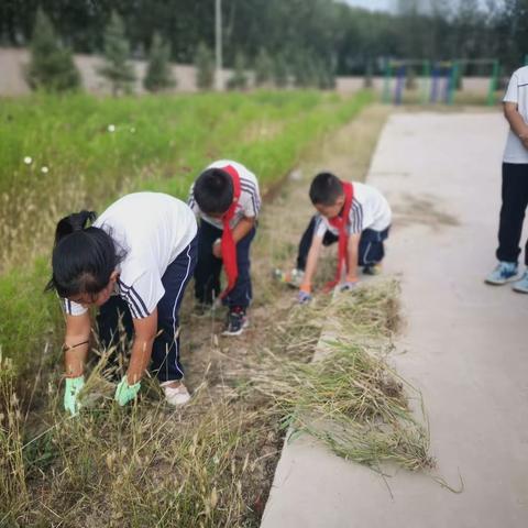 劳动砺心志，实践促成长