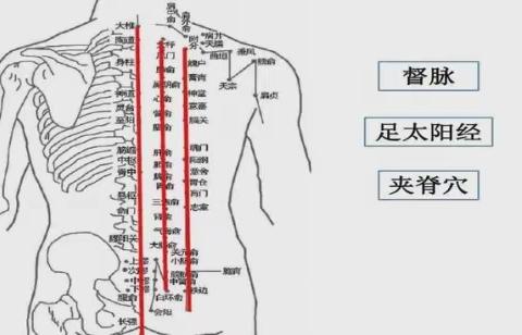 中医馆开展养生新项目啦！——督脉灸