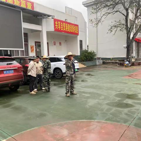 播种绿色希望，共建生态家园——木棠镇政府植树活动纪实