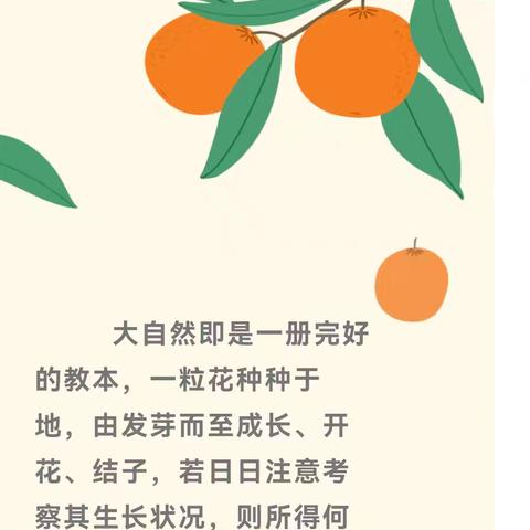 “品劳动之趣 享丰收之乐”——旬邑县实验小学劳动实践活动纪实