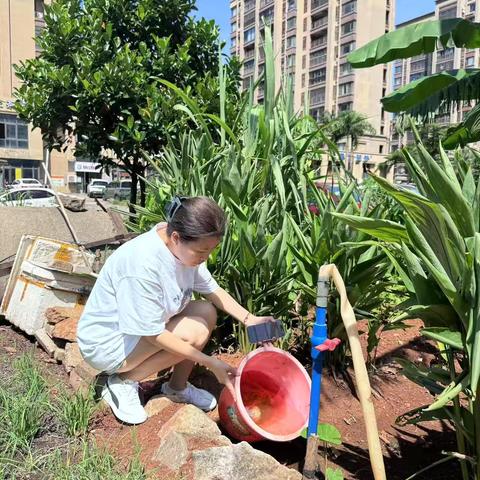 晋美社区开展翻盆倒罐、清理积水活动