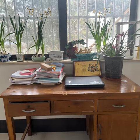 陋室花香稀寿雅趣