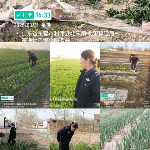 排查罂粟种植，守护美好家园