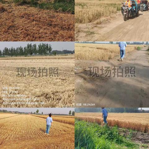 麦收期间秸秆焚烧宣传