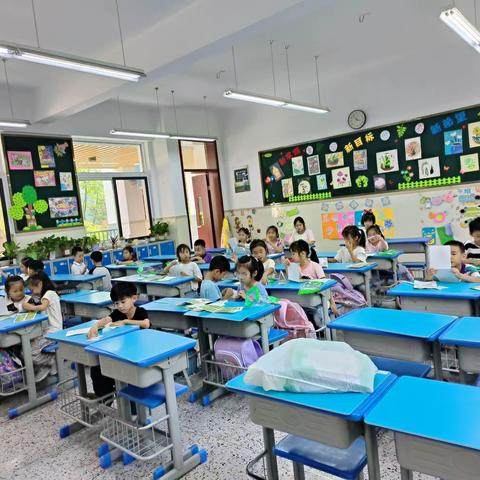 少华街小学一年级STEM科学课程剪影