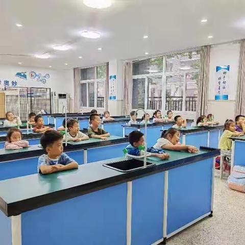 少华街小学一年级STEM科学课程剪影