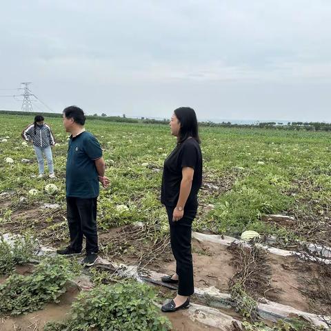 长安供销蔬菜直通车//：助力农户，摆脱滞销困境