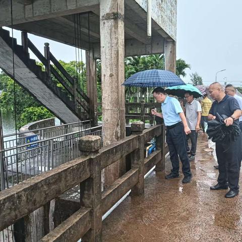 市人大常委会主任杨应龙赴蓬莱镇指导强降水防范工作