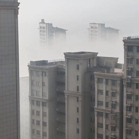 我家的小可爱们