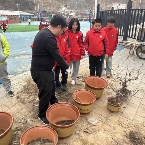 校园果树移栽热，学生劳作风采扬——五年级学生劳动实践活动