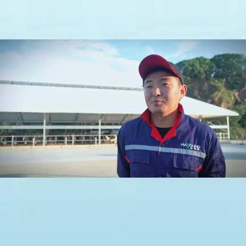 独家访谈｜一窖好青贮 只为“真”鲜奶