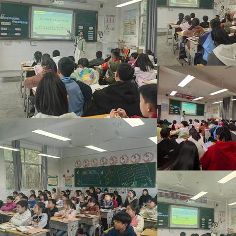 落地语文要素，提升思维品质——石狮学校小学部语文“一案双单”听评课活动