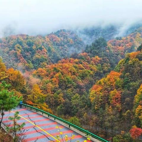 秦岭的香格里拉【黄柏塬二日游】