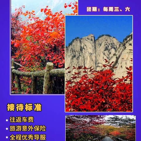 梦境红叶华山一日游