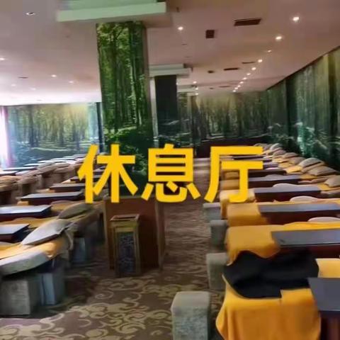 滨港温泉➕伏茶小镇一日游