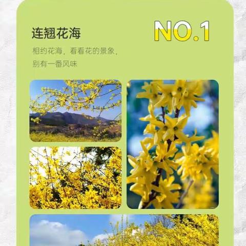 旅行中的故事的简篇