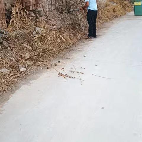 【三零创建】李源屯镇牌杨庄村环境卫生整治活动