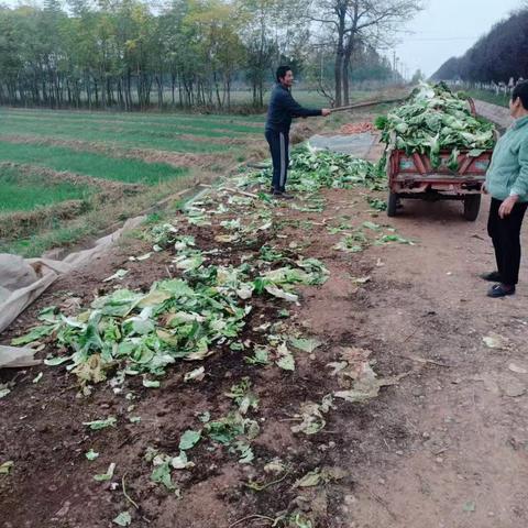 鹿苑街道人居环境整治“冬季行动”再发力！